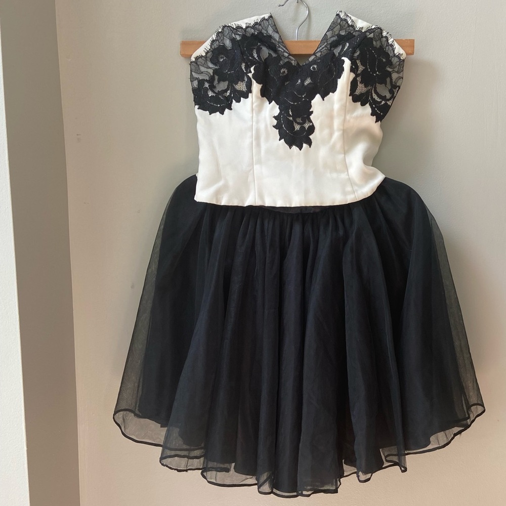 Vintage Natori Tulle Skirt and Bustier